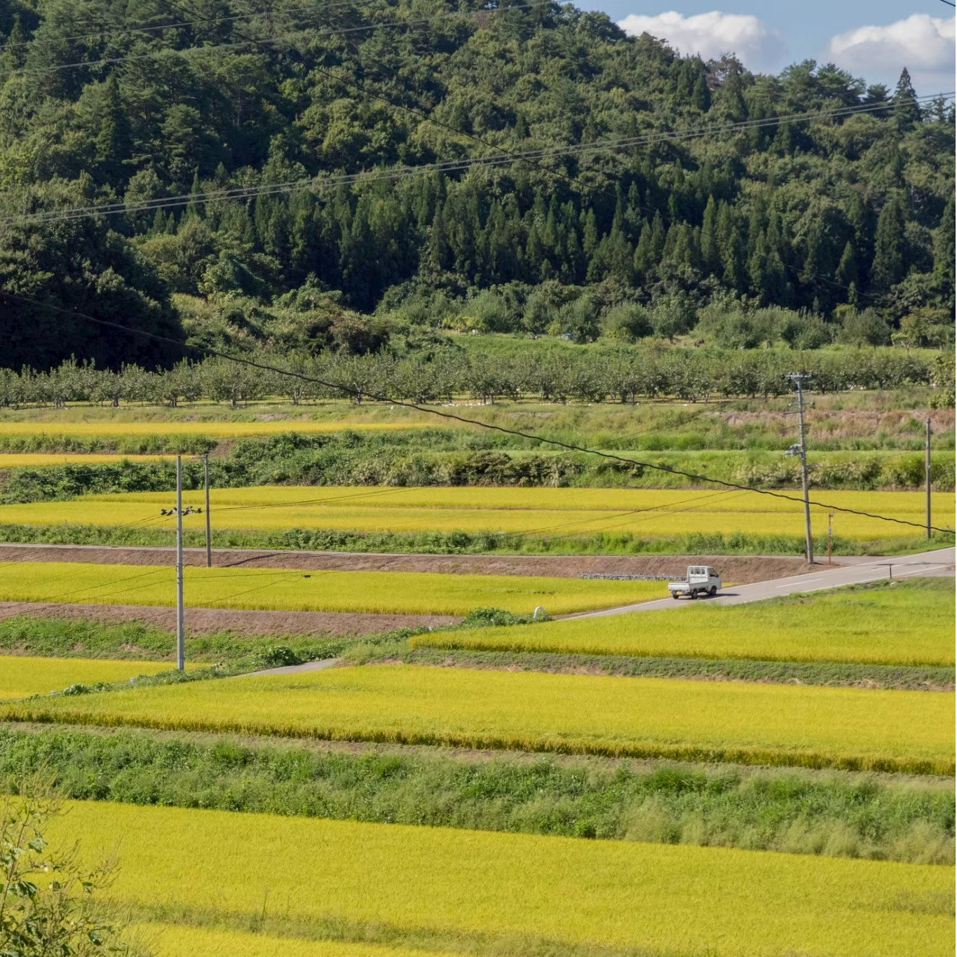 「NOREGION」の名前の由来